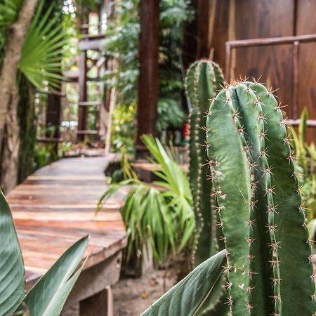Hotel Origen Tulum Zewnętrze zdjęcie