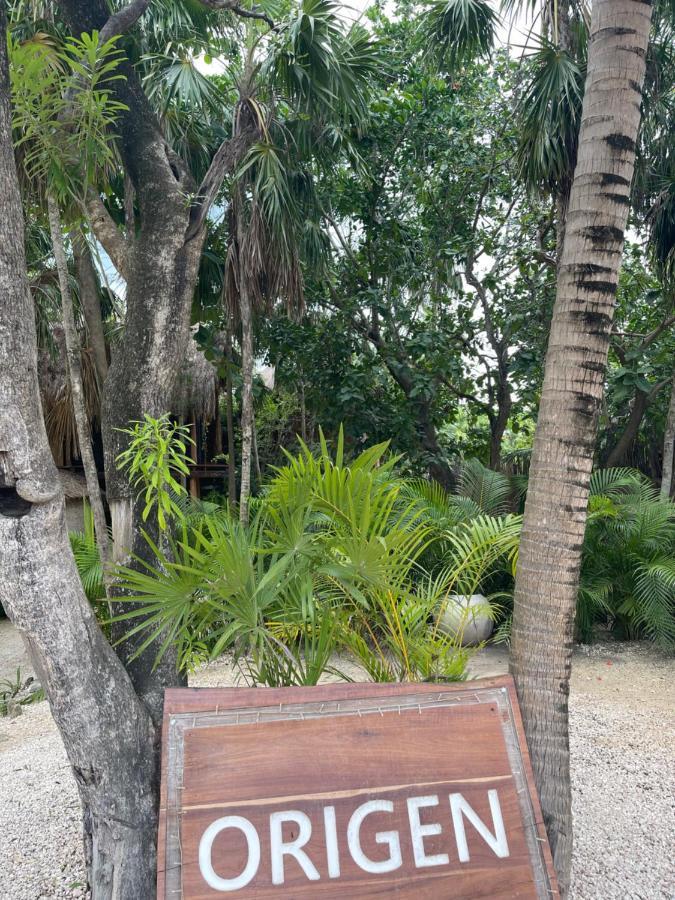 Hotel Origen Tulum Zewnętrze zdjęcie