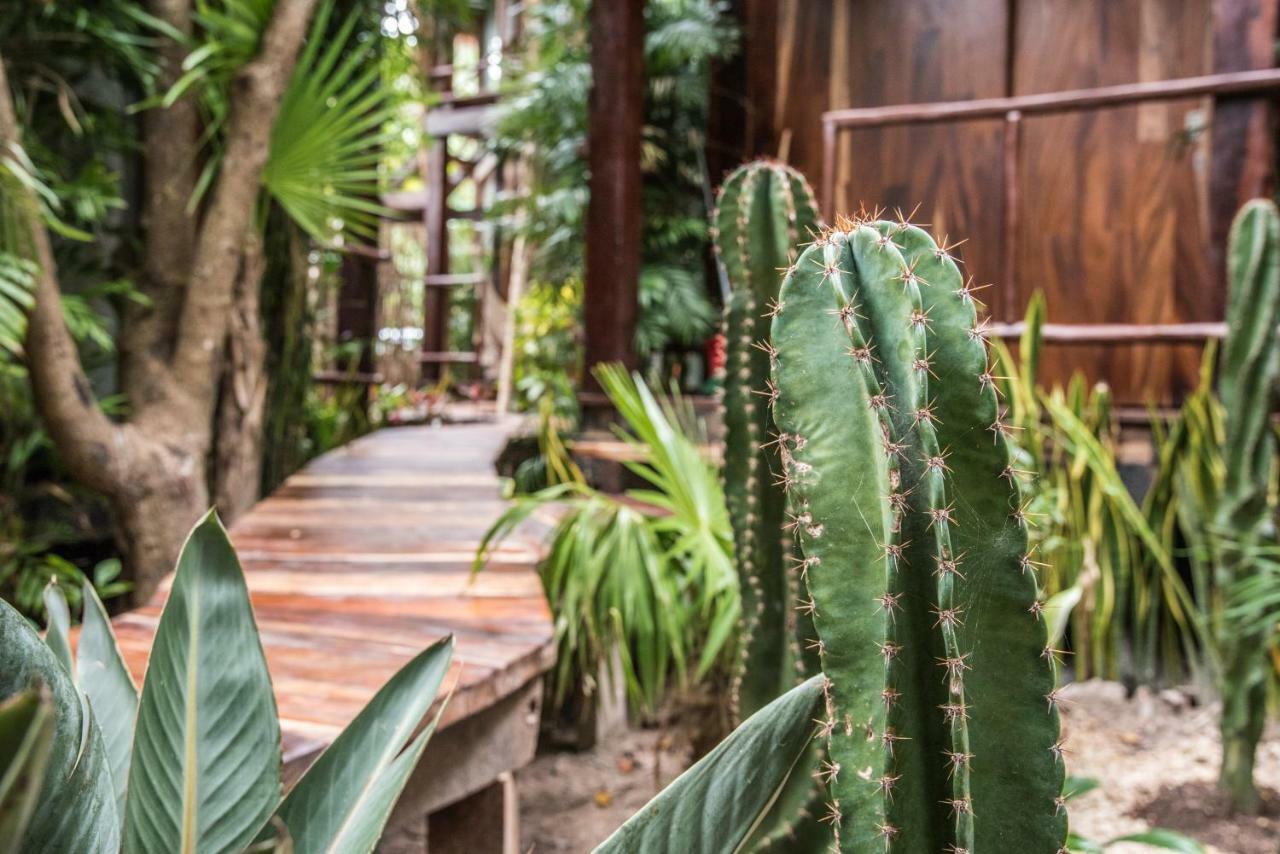 Hotel Origen Tulum Zewnętrze zdjęcie